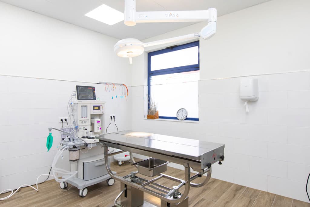 Veterinario cirugía en Ribadeo