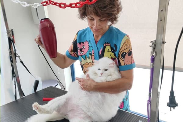 Peluquería canina y felina