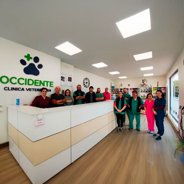 Clínica Veterinaria Occidente en Ribadeo
