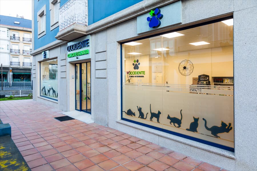 Clínica Veterinaria Occidente