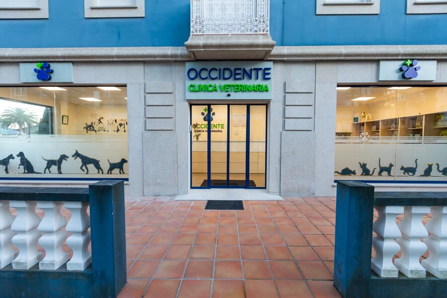 Su clínica veterinaria de confianza en Ribadeo