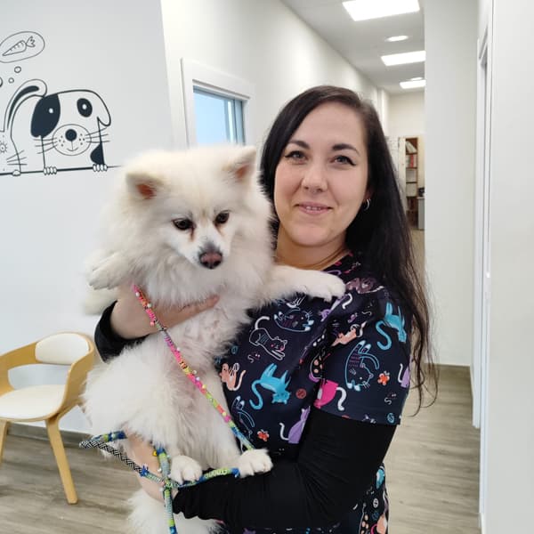 Clínica Veterinaria Occidente en Ribadeo