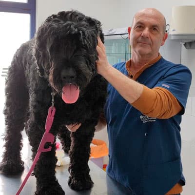 Clínica Veterinaria Occidente en Ribadeo