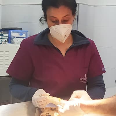 Principales servicios de nuestra clínica veterinaria