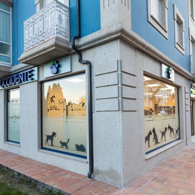 Clínica Veterinaria Occidente en Ribadeo