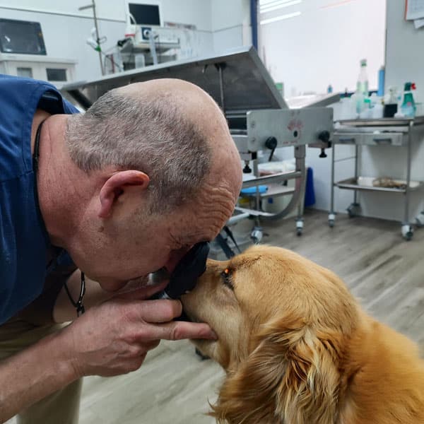 Cuidamos la salud ocular de su mascota