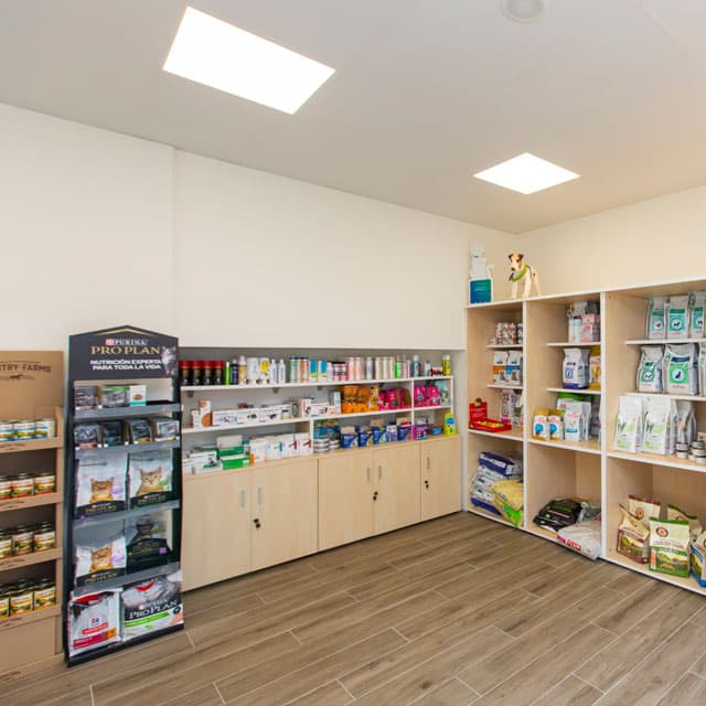 Servicios veterinarios en Ribadeo