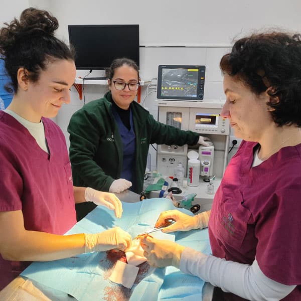 Intervenciones quirúrgicas con la máxima confianza