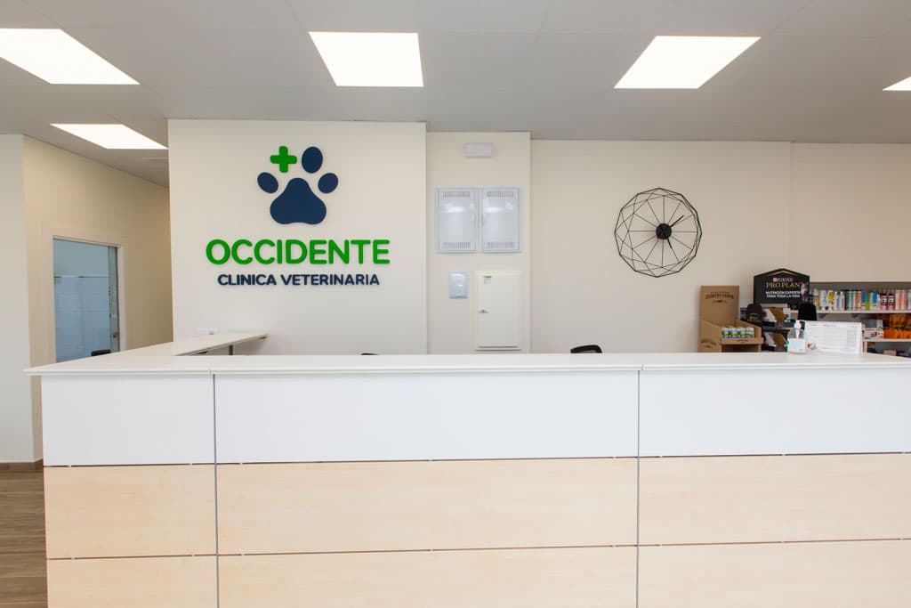 Veterinarios de perros y gatos en Ribadeo